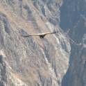 Colca Canyon