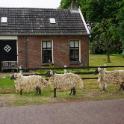 Als er 1 schaap over de dam is dan ...