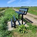 natuurgebied De Wilck