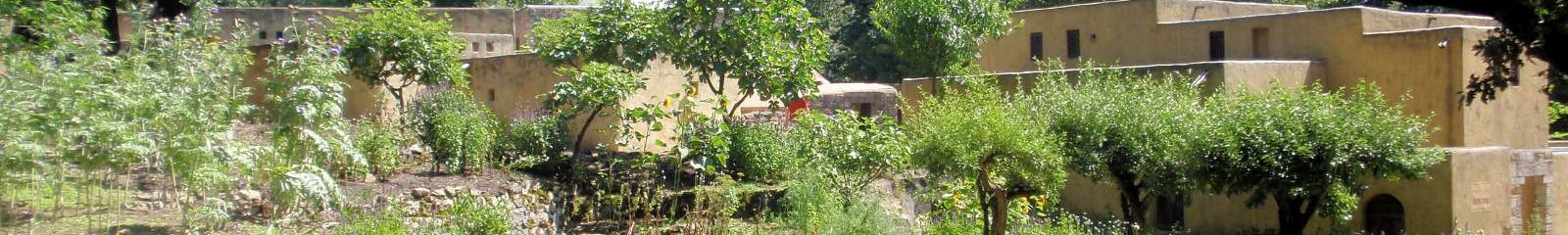 Museum Orientalis 2008