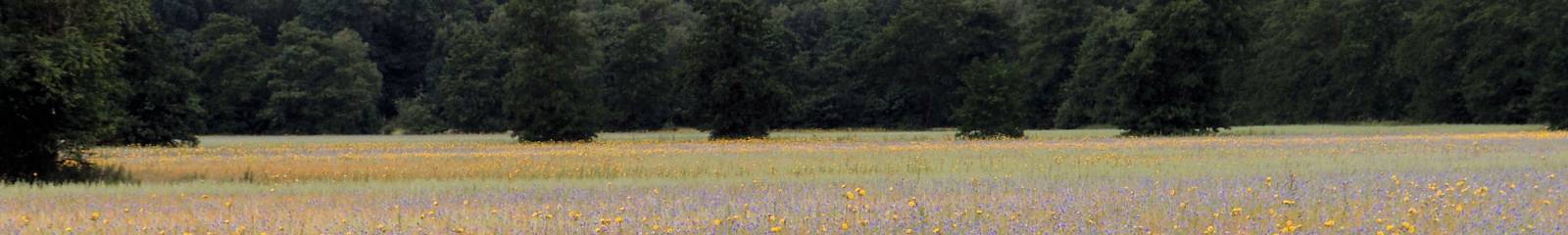 Klein Huussie 2008
