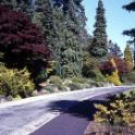 Stanleypark, Vancouver, Canada