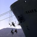 Baarn in de haven van Port au Prince