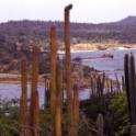 Bonaire