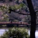 Sankei-en Garden, Yokohama