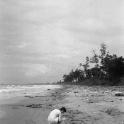 Kuala Belait, Brunei, schelpen zoeken